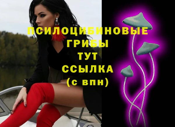 а пвп мука Бородино